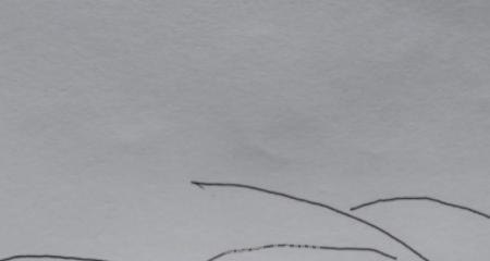 大雪怎么画彩铅（大雪怎么画彩铅画）