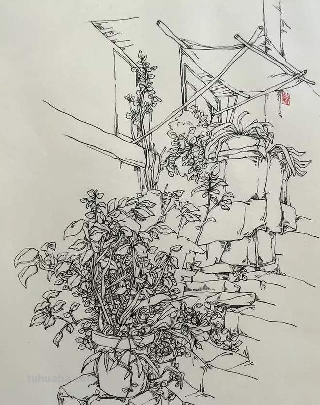 签字笔速写风景（签字笔速写风景图片）