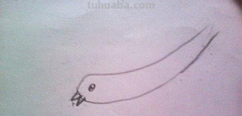 简笔画小燕子怎么画(简笔画小燕子怎么画视频) 简笔画小燕子怎么画(简笔画小燕子怎么画视频)
