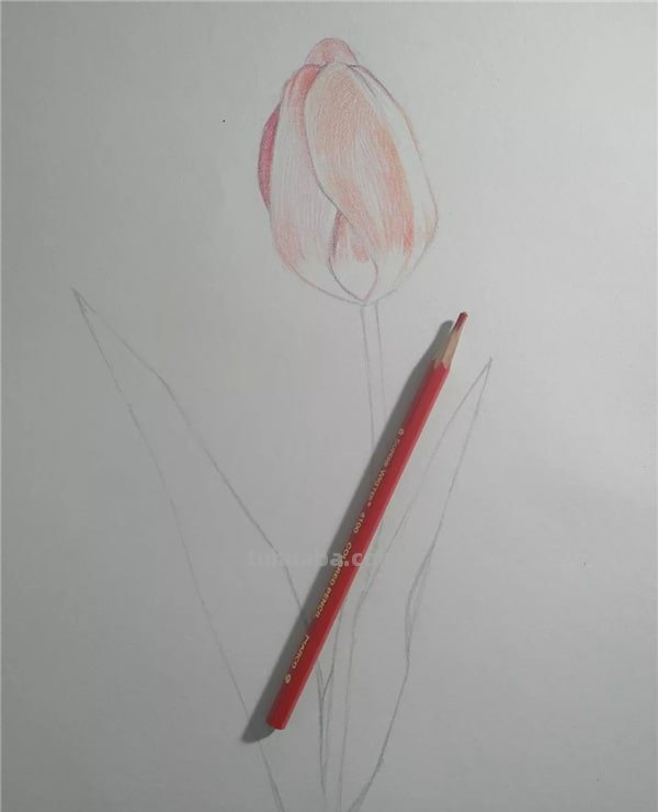 鹊桥怎么画 彩铅（鹊桥怎么画 彩铅画）