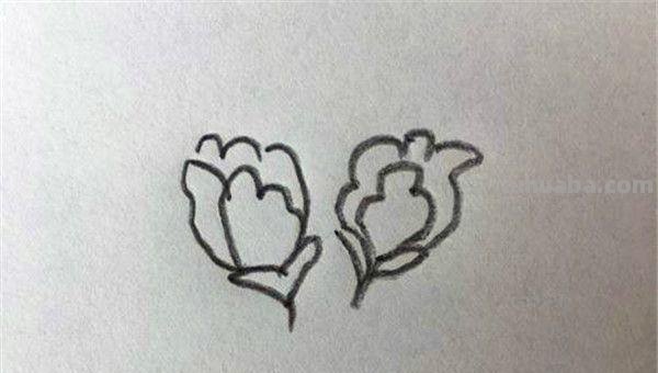 怎么画牡丹花简笔画(怎么画牡丹花简笔画步骤) 怎么画牡丹花简笔画(怎么画牡丹花简笔画步骤)