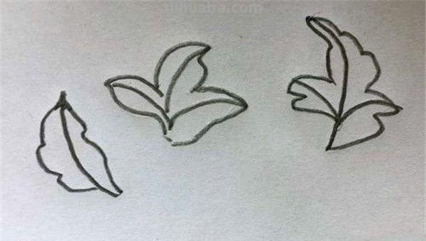 怎么画牡丹花简笔画(怎么画牡丹花简笔画步骤) 怎么画牡丹花简笔画(怎么画牡丹花简笔画步骤)