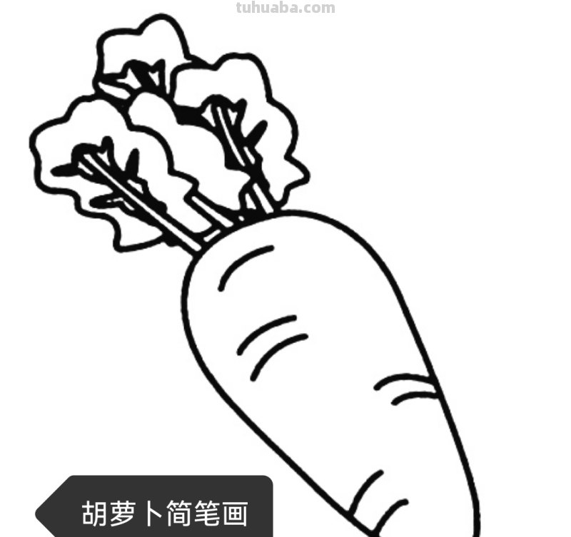菠菜怎么画简笔画(菠菜怎么画简笔画视频) 菠菜怎么画简笔画(菠菜怎么画简笔画视频)