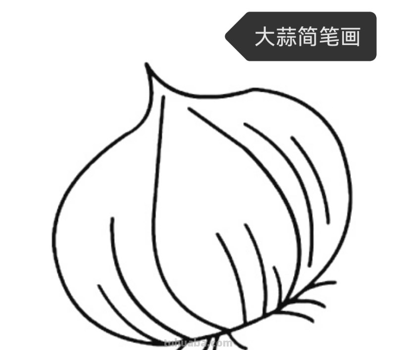 菠菜怎么画简笔画(菠菜怎么画简笔画视频) 菠菜怎么画简笔画(菠菜怎么画简笔画视频)