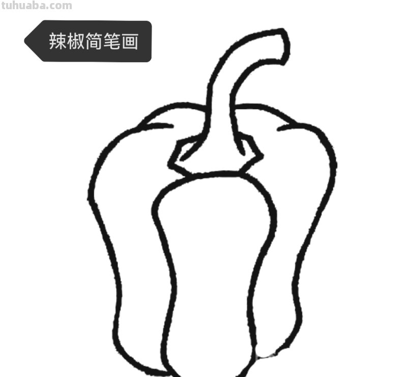 菠菜怎么画简笔画(菠菜怎么画简笔画视频) 菠菜怎么画简笔画(菠菜怎么画简笔画视频)