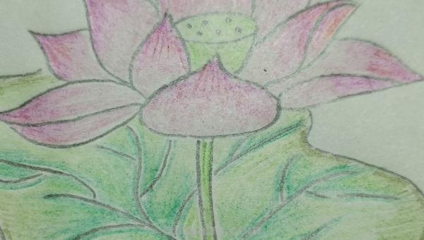 花草怎么画彩铅(花草画简单彩铅) 花草怎么画彩铅(花草画简单彩铅)
