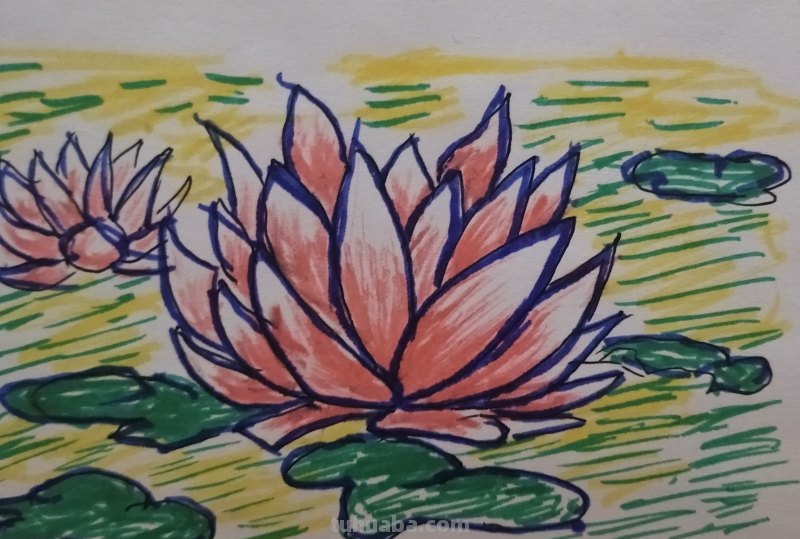 水怎么画简笔画图片(水怎么画简笔画图片 波纹) 水怎么画简笔画图片(水怎么画简笔画图片 波纹)