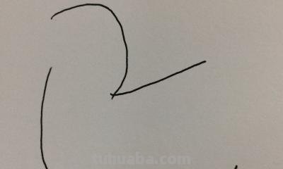 鸡怎么画简笔画图片(鸡怎么画简笔画图片大全 儿童) 鸡怎么画简笔画图片(鸡怎么画简笔画图片大全 儿童)