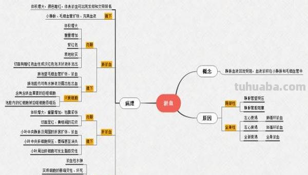 思维导图软件是什么（思维导图软件是什么意思）