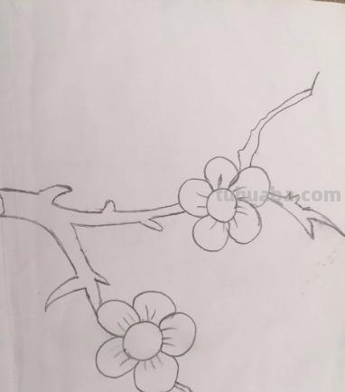 彩铅怎么画梅花（彩铅怎么画梅花树）