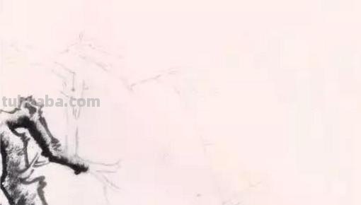彩铅怎么画梅花（彩铅怎么画梅花树）