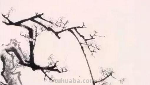 彩铅怎么画梅花（彩铅怎么画梅花树）