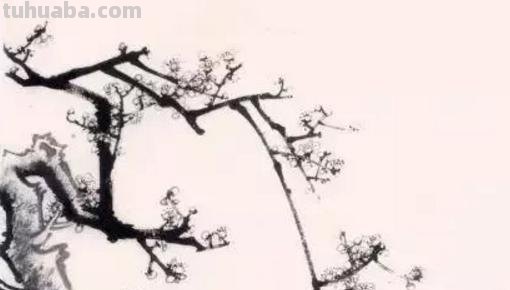 彩铅怎么画梅花（彩铅怎么画梅花树）