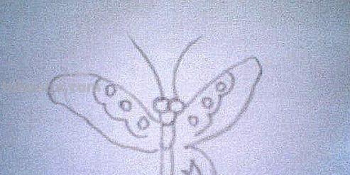 蝴蝶怎么画简笔画图片(蝴蝶怎么画简笔画图片大全) 蝴蝶怎么画简笔画图片(蝴蝶怎么画简笔画图片大全)