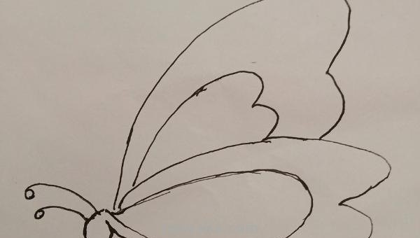 蝴蝶怎么画简笔画图片(蝴蝶怎么画简笔画图片大全) 蝴蝶怎么画简笔画图片(蝴蝶怎么画简笔画图片大全)