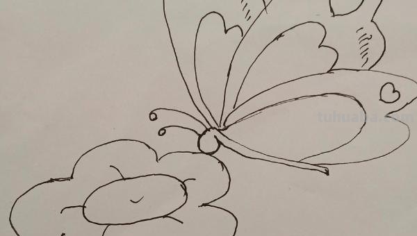 蝴蝶怎么画简笔画图片(蝴蝶怎么画简笔画图片大全) 蝴蝶怎么画简笔画图片(蝴蝶怎么画简笔画图片大全)