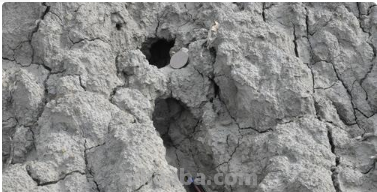 (四)泥岩（泥岩图片）