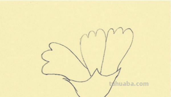彩铅康乃馨怎么画(彩铅康乃馨怎么画好看) 彩铅康乃馨怎么画(彩铅康乃馨怎么画好看)