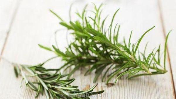迷迭香是什么味道