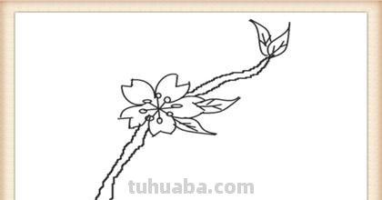 彩铅桃花怎么画(彩铅桃花怎么画简单) 彩铅桃花怎么画(彩铅桃花怎么画简单)