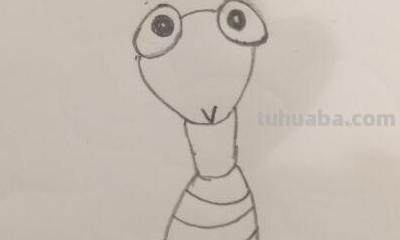 螳螂的简笔画怎么画(螳螂的简笔画怎么画最简单的) 螳螂的简笔画怎么画(螳螂的简笔画怎么画最简单的)
