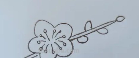 彩铅梅花怎么画(彩铅梅花怎么画简单) 彩铅梅花怎么画(彩铅梅花怎么画简单)