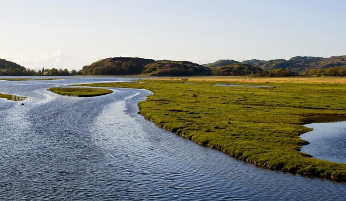 river是什么怎么读 river是什么怎么读