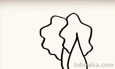 大白菜怎么画简笔画(大白菜怎么画简笔画图片) 大白菜怎么画简笔画(大白菜怎么画简笔画图片)