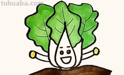 大白菜怎么画简笔画(大白菜怎么画简笔画图片) 大白菜怎么画简笔画(大白菜怎么画简笔画图片)