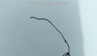 大白菜怎么画简笔画(大白菜怎么画简笔画图片) 大白菜怎么画简笔画(大白菜怎么画简笔画图片)