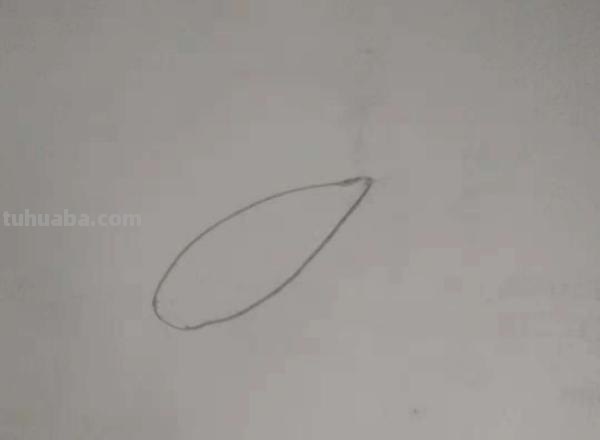 大白菜怎么画简笔画(大白菜怎么画简笔画图片) 大白菜怎么画简笔画(大白菜怎么画简笔画图片)