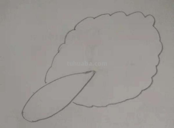 大白菜怎么画简笔画(大白菜怎么画简笔画图片) 大白菜怎么画简笔画(大白菜怎么画简笔画图片)