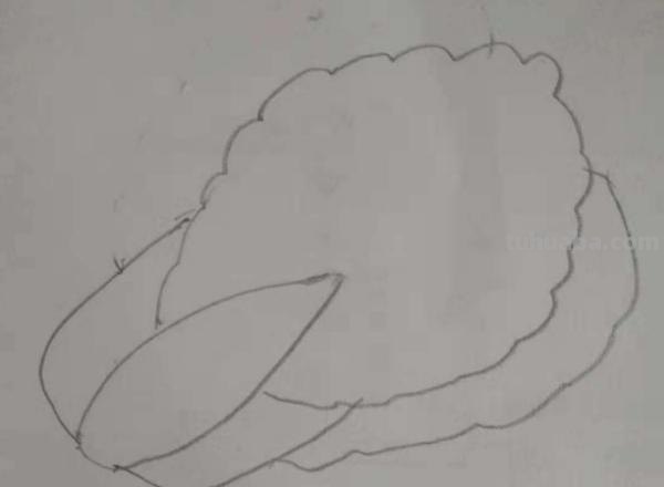 大白菜怎么画简笔画(大白菜怎么画简笔画图片) 大白菜怎么画简笔画(大白菜怎么画简笔画图片)
