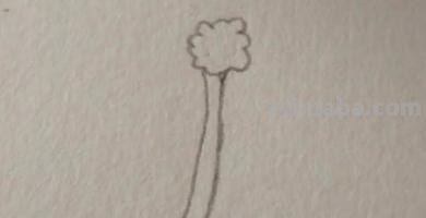 蒲公英怎么画简笔画(蒲公英怎么画简笔画 儿童) 蒲公英怎么画简笔画(蒲公英怎么画简笔画 儿童)