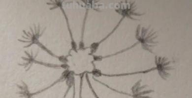 蒲公英怎么画简笔画(蒲公英怎么画简笔画 儿童) 蒲公英怎么画简笔画(蒲公英怎么画简笔画 儿童)