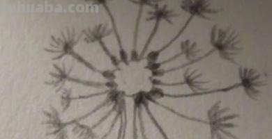 蒲公英怎么画简笔画(蒲公英怎么画简笔画 儿童) 蒲公英怎么画简笔画(蒲公英怎么画简笔画 儿童)