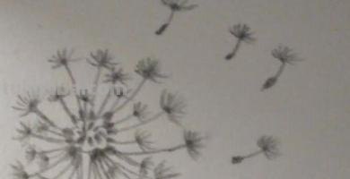 蒲公英怎么画简笔画(蒲公英怎么画简笔画 儿童) 蒲公英怎么画简笔画(蒲公英怎么画简笔画 儿童)
