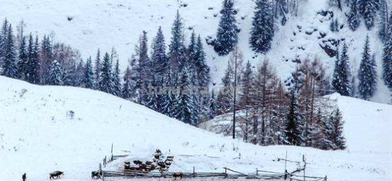 初雪有什么意义