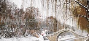 初雪的含义是什么?人为什么会对初雪有特殊的情结?