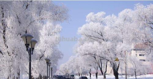 初雪的含义是什么?人为什么会对初雪有特殊的情结?