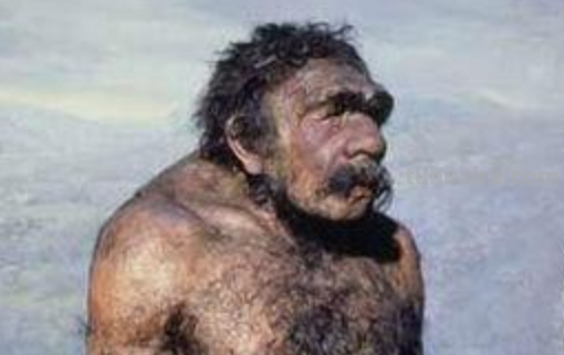 亚人的含义是什么?