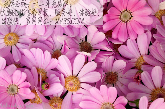 商场想摆几台正规电子游戏机 不带任何性质赌博的 公安局有权利管 或...