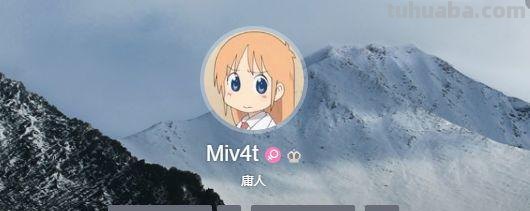 如何评价miv4t?（MIV4T和手办原型师冲突）
