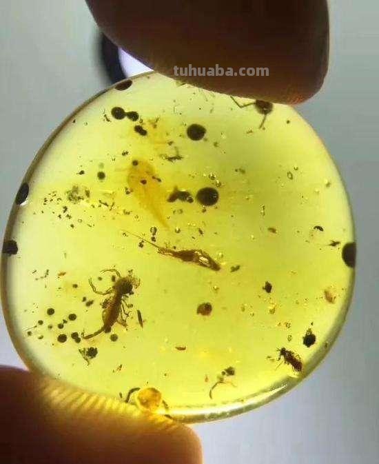 蜜蜡是什么东西?