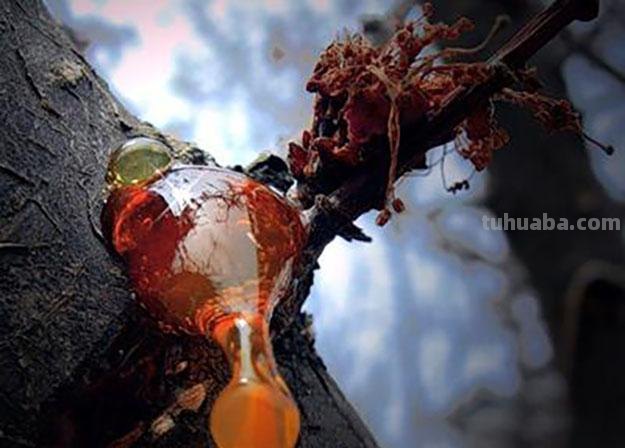 蜜蜡是什么东西?