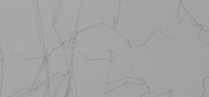 灌木丛速写画技巧法（灌木丛速写画技巧法图片）