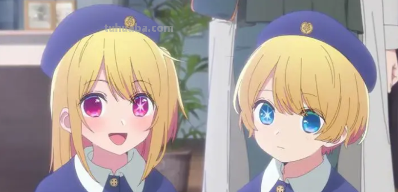 我推的孩子讲的什么