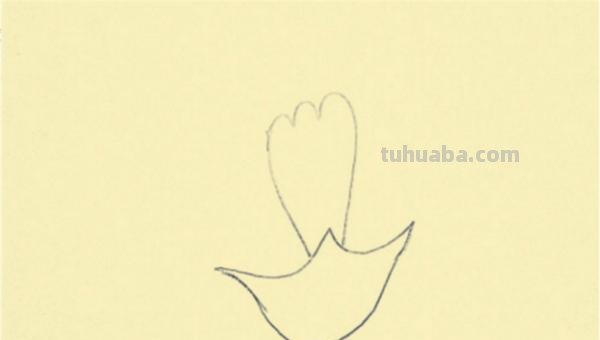 康乃馨怎么画简笔画() 康乃馨怎么画简笔画()