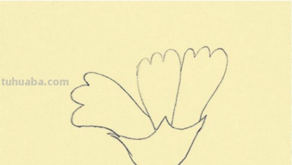 康乃馨怎么画简笔画() 康乃馨怎么画简笔画()
