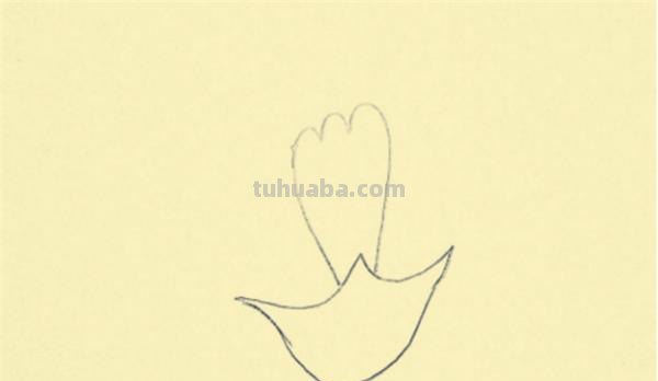 康乃馨怎么画简笔画() 康乃馨怎么画简笔画()